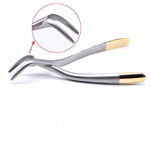 Dental Tooth Extraction Forcep For Root Fragment Minimally Invasive Dental Instrument Curved Forcep (Maxillary And Mandibular Teeth) #TOP1