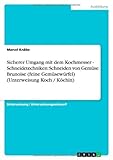 GRIN Verlag