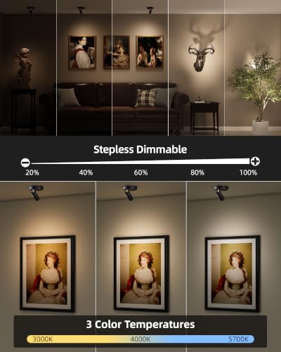 EZVALO Indoor Spotlights, Picture Lights for Wall, Uplights
