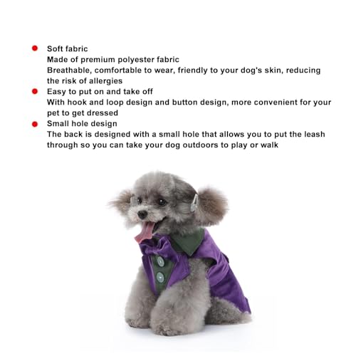 Disfraz Formal para Perro con Corbatín, Talla XL miniatura 3