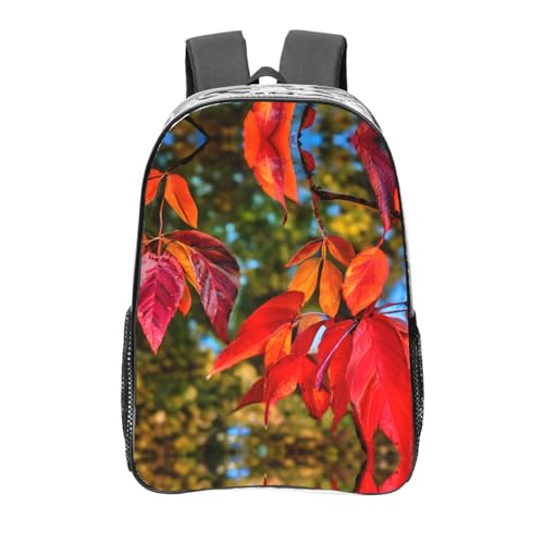 Sac à dos transparent noir avec poches à motif imprimé fruits et feuilles rouges