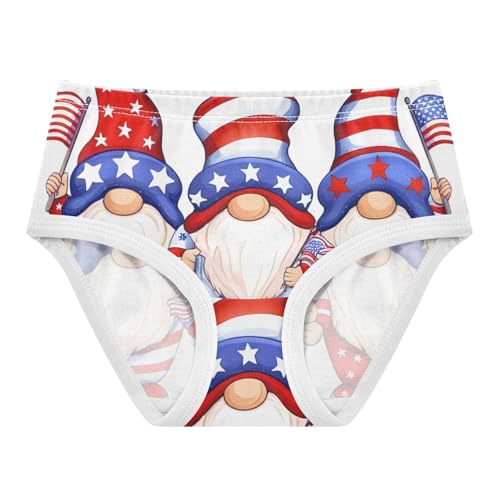 Girls Underwear Toddlers 2t Cotton Little Girl Panties Fun Briefs Undies Kids Cute Gnomes USA 4th July