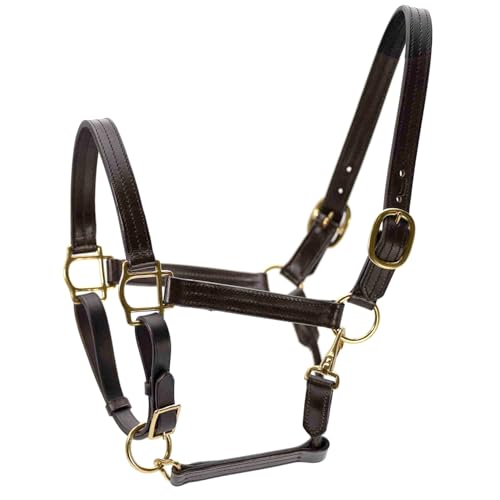 Jeffers Versailles Triple Stitched Leather Horse Halter, Havana – Western Durable Adjustable Halter w/Double Buckle Crown, Adjustable Noseband, Throat Snap, Ranch Tack for Training Riding, Cob Size