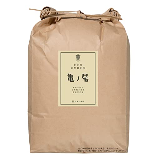 玄米 亀ノ尾 令和7年産 自然栽培米 4kg 和歌山県産 まぼろしのお米 原種米 自然農法 栽培期間中農薬不使用 除草剤不使用 肥料不使用のサムネイル