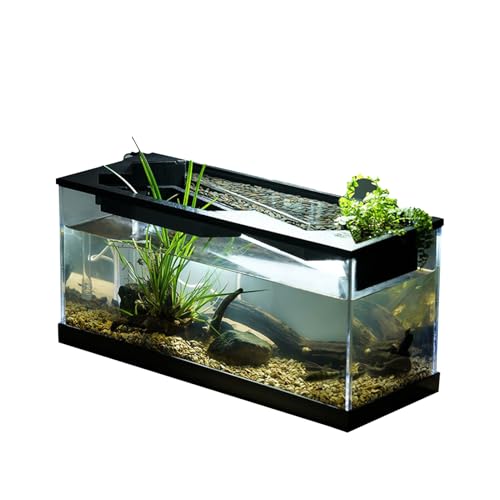 Fischtank, kleines Glasaquarium mit doppeltem Filtersystem, hochtransparentes Acryl, Aquarium mit Hydrokulturbepflanzung auf der Oberseite, mit Luftpumpe
