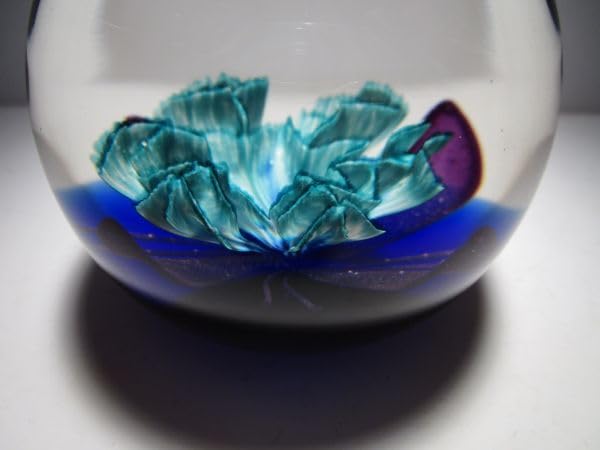 Amazon.co.jp: ケイスネスソサイアティー会員向け限定品 英国製