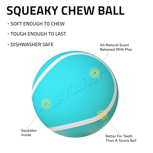 Playology Dog Toys | Squeaky Chew Ball - Bouncy Durable Floating Fetch Ball for Dogs | Medium Peanut Butter Scented Toy - Easy to Clean and Made from Non Toxic Materials - Image 3