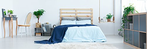 Lumaland Federa Cuscino 80x80 Antracite