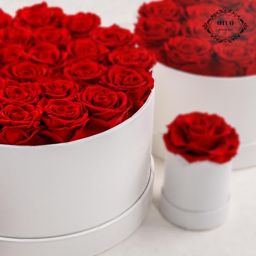 27 Piece Preserved Roses in a Box - Forever Flowers for Delivery Prime, Eternal Roses Mothers Gifts for Mom, Wife Anniversary Birthday Gifts for Women, Red - Image 6