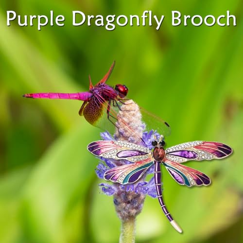 Image of Fashion Dragonfly Booch Pin Jewelry Gift for Women