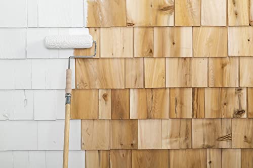 Rust-Oleum 3554 Zinsser High Hide Cover Stain Primer And Sealer, White 32 Fl Oz (Pack Of 1) #TOP4