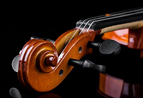 Glory Violin 1/4 Violin Set For Beginners With Hard Case, Rosin, Shoulder Rest, Bow, And Extra Strings #TOP3
