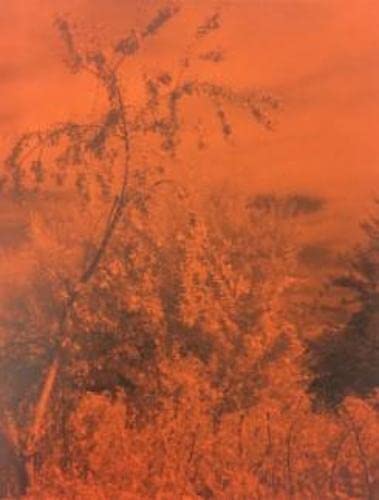 Peak Oil : Geert Goiris, photos de sites industriels au Frac Normandie