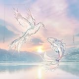 img_buddy (初回生産限定盤)