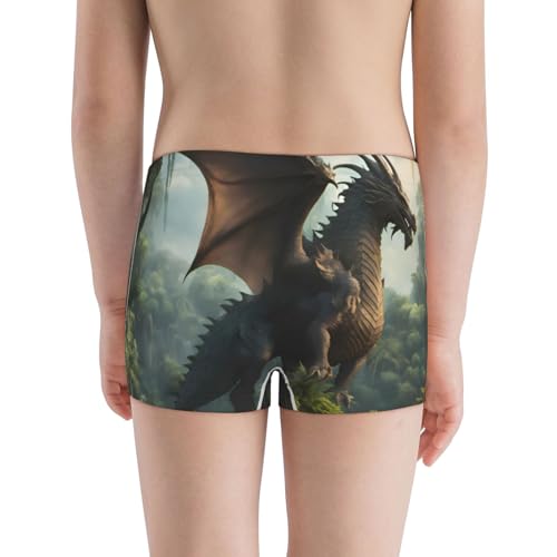 Boys' Cotton Boxer Brief Soft Underwear-Forest Stone-Colored Dragon3
