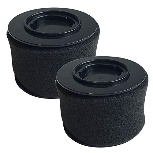 Crucial Vacuum Replacement Vacuum Filter - Compatible with Bissell PowerEdge Hard Floor Vacuum Models 81L2 and 81L2T - Replace Filter Part 54A2 - Washable Dust Cup Vacuum Filters Parts ? Bulk (2 Pack)