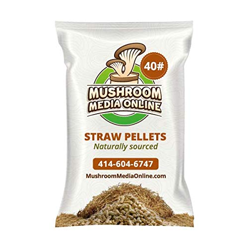 MushroomMediaOnline Wheat Straw Pellets - Great for Gourmet Mushroom Growing Substrate, High Absorption; 40 Pounds