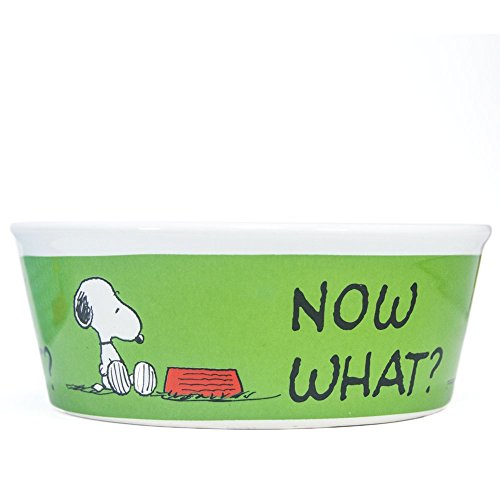 Peanuts Snoopy Dog Cat Or Pet Food Bowl Or Water Bowl Charlie Brown Licensed Made By Gibson 01 Heavy Stoneware Buy Online In India At Desertcart