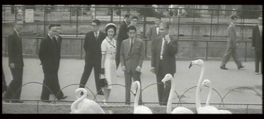 明仁天皇陛下の足跡DVD4本セット Amazon.co.jp: 昭和のニュース映画で綴る 明仁天皇陛下の足跡 [DVD] : DVD