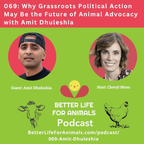 069: Why Grassroots Political Action May Be the Future of Animal Advocacy with Amit Dhuleshia