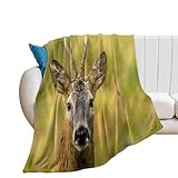 Morbida e leggera coperta di flanella con animali selvatici con capriolo sul prato - Pensieri dal cuore regalo - Questa coperta è un dolce ricordo del tuo amore, sia che si trovi a un'ora di auto o dall'altra parte del globo! Questa coperta è il regalo perfetto per compleanni, vacanze, Natale, riunioni, feste o un regalo 