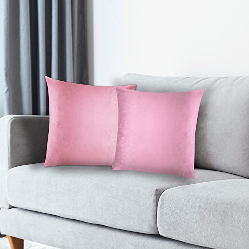 Pillow Covers, 2 Pack Velvet Throw Pillows Covers 18X18 Inch Decorate Pillows Covers Set Of 2 Comfortable Square Pillowcase For Solid Cushion Case Sofa Bedroom, Soft Pillow Covers (Pink, 18 X 18Inch) #TOP1