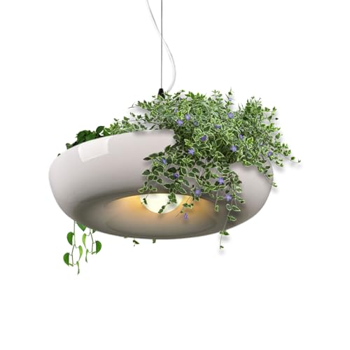 doyandader Lámpara de Techo con Plantas - Lámpara de Plantas Colgante Creativa - Iluminación Colgante Moderna para Interior Exterior Entrada Salón Dormitorio Cocina Terraza Jardín