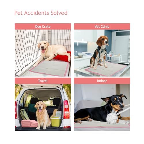 Image of Pink Puppy Pee Pads, 400 Count - 22 x 22 Inch Dog Potty Training Pads, Leak-Proof Quick Absorb 6-Layer Design for Pet Pissing Weewee Training, Ideal for Puppies, Cats, Rabbits, and Guinea Pigs