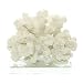 White Resin Coral | Crafted Coral On Base | White 3.5"x 4.5" | Plus Free Nautical eBook by Joseph Rains