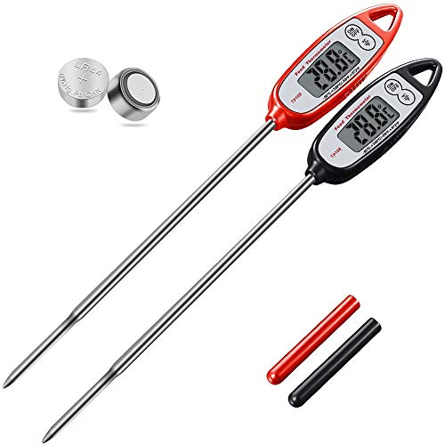 Best Barbecue Thermometer For Kitche
