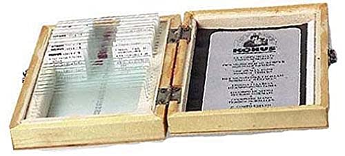 Image of KONUS Plants Reproduction Slide Set (10 Slides)