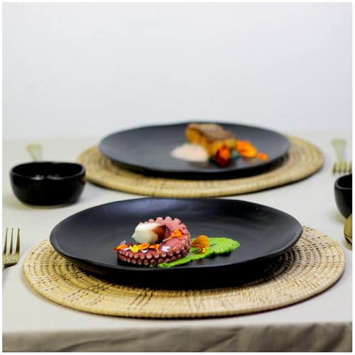 roro 10.5-Inch Handmade Ceramic Stoneware Dinner Plates in Matte Black (Set of 2) – Natural Unglazed Underside, Restaurant Grade, Microwave, Oven & Dishwasher Safe