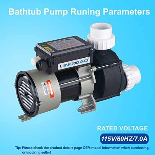 Image of Bath Pump & Hot Tub Bath Pump - LX Bath Pump 110V - 120V, 1.5 inch Port (WCH100)