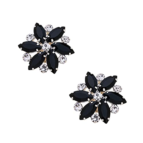 FXQHAN Shoes Dress Hat Accessories Fashion Rhinestones Crystal Shoe Clips 2 Pcs Multi Color (Black)