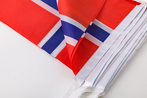 TSMD Norway Flag, 100 Feet Norwegian Nordmann Flag National Country World Pennant Flags Banner,International Party Decorations for Grand Opening,Olympics,Bar,School Sports Events,Festival Celebration - Thumbnail 6