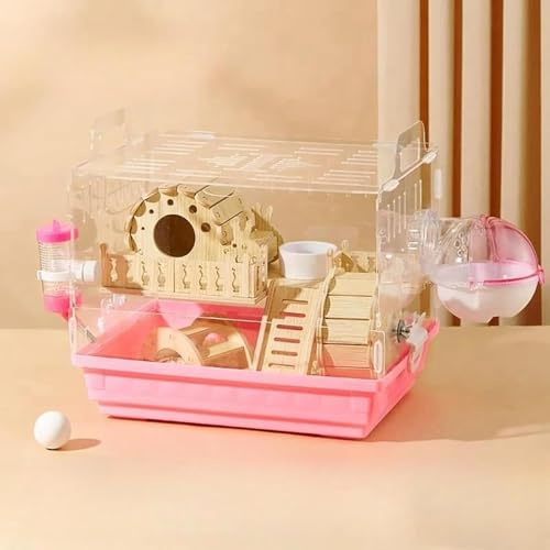 nX^[ P[W 2w  AN vX`bN P[W 甠  i 񂵎ԕt |₷ 䟭(08)