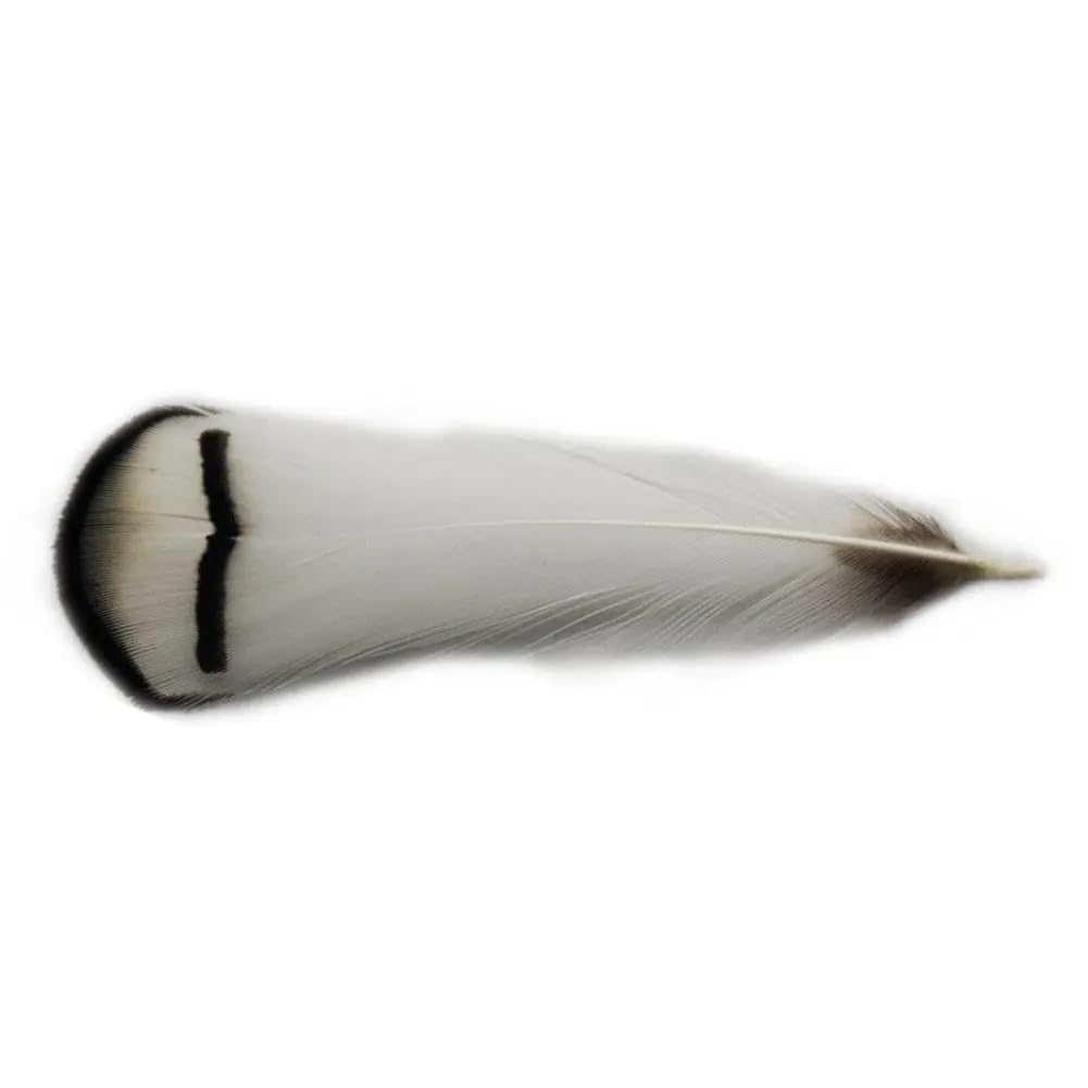 Piume naturali di fagiano, Piume di fagiano naturali realizzate a mano 4-8 cm Confezione multipla artigianale fai-da-te(200 Piece)