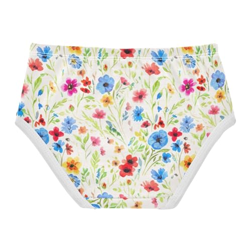Wildflowers Pastel Girls Underwear Toddler 2t Cotton Little Girl Panties Fun Briefs Underpants2