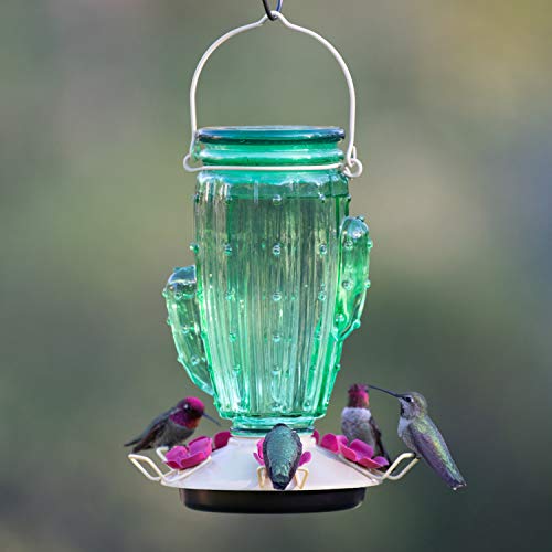 Perky-Pet 9111-1SR Cactus Top Fill Glass Hummingbird Feeder with Built-in Bee Guards & Removable Perches - Image 2