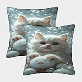 XHSMSHWY Chat Napoléon Housse De Coussin Ensemble De 2 Cute Pet Chat pour Chambre, Canapé, Chaise, Lit,Jardin Confort Et Douceur Garantis Housse De Coussin pour Lit 40x40cm