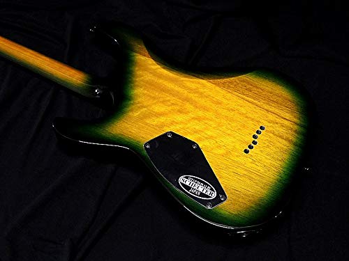 Amazon.co.jp: Schecter AD-C-1-HR/P/DGB Schecter Hellrazor