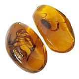 BETOOKY 2 Colgantes de Cera de Abejas Insectos en Ámbar Irregular, Diseño Creativo y Mini Orificio, Accesorios para Hacer Joyas y Regalos DIY Color Color Aleatorio Varios estilos