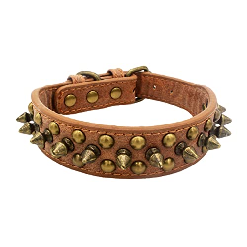 Collier pour chien rivets et clous ronds robustes ajustables Angoily