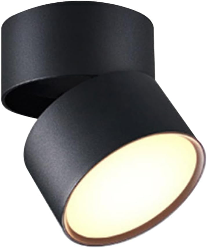 Foco de Techo LED 12W Orientable Negro para Superficie en Salón de 4000K