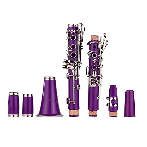 Clarinet,Muslady 17-Key Clarinet,Bb Flat ABS Woodwind Instrument with Carry Case Cleaning Cloth Mini Screwdriver Reed Case 10pcs Reeds