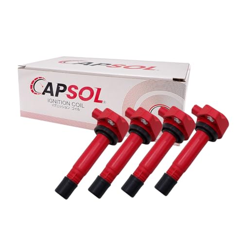 CAPSOL XebvS Xp[_ RK5 COjbVRC RP nCp[ 4{Zbg 1䕪 30520-RNA-A01