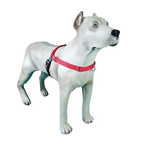 Peitoral K9 Spirit Treinamento para Cães Vermelho - PX2