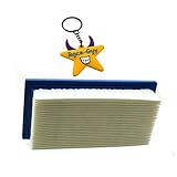 Race-Guy Air Filter For BRIGGS & STRATTON 496077 691643 176400 19B400 19E400 256400 GENERAC 0691643