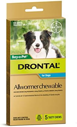 drontal chews