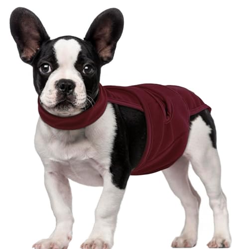Image of QBLEEV Female Dog Diapers with Adjustable Suspenders - Washable Sanitary Panties for Dogs in Heat or Incontinence, Escape-Proof Reusable Pet Period Underwear Onesie for Small to Large Breeds